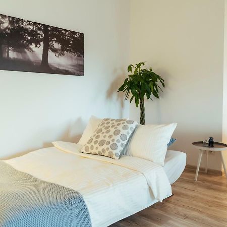 Bright And Spacious Central Apartment- Piata Amzei Boekarest Buitenkant foto